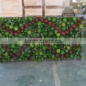 Succulent Plants Green Wall Interior Decoration for Sale thumbnail-4