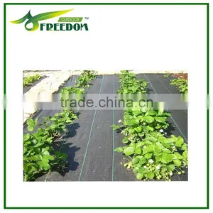 Agricultural Plastic Weed Control Mat / Ground Cover Net thumbnail-5