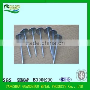 Hot Sale Galvanized Umbrella Roofing Nail 2.5" China Supplier Umbrella Head Roofing Nails thumbnail-2