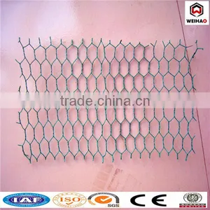 PVC and GI Hexagonal Wire Mesh thumbnail-1