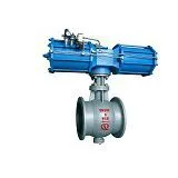 WCB Eccentric Ball Valve thumbnail-1