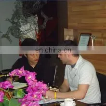 Zigong Dino City Culture&Art Co., Ltd. company overview - view 2 thumbnail