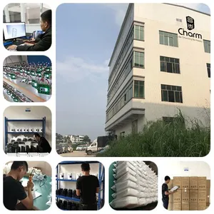 CharmAroma Environmental Technology Co., Ltd. company overview - view 1 thumbnail