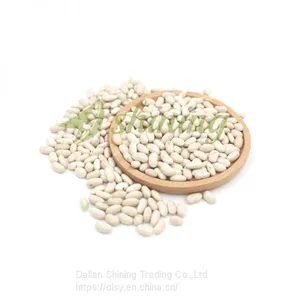 Spanish White Kidney Beans thumbnail-1