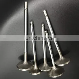 For BMW Mini One Cooper 1.4 i 16 V Clubman 1.6 Engine Valves Factory Auto Parts N12B14A N12B16A N16B16A N18B16A 11347533884 thumbnail-7