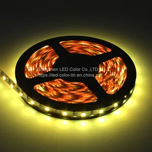RGB Dream Color Smd 3528 LED Strip Glue Waterproof DC12V Led Strip thumbnail-4