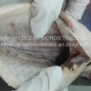 Tilapia Gutted and Scaled 350-550 thumbnail-1