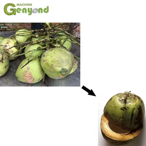 Automatic Fresh Coconut in Half Cutting Machine Price thumbnail-3