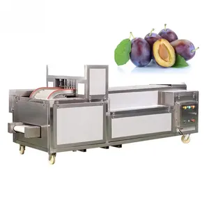 Automatic Cherry Pitter Commercial Olive Pitting Machine/Red Dates Deseeding Opening Machine Peach Apple Pear thumbnail-2