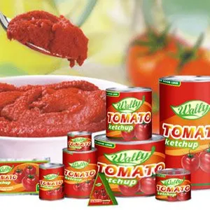 Automatic Complete Full Line Tomato Paste Sauce Ketchup Factory Plant Processing Machine thumbnail-4