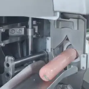 2024 Year New Chicken Meat Fish Meat Pork Meat Red Sausage Production Line on Sale thumbnail-5
