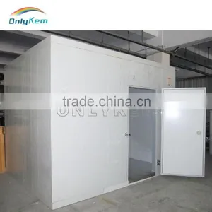 Hot Sale Meat Walk in Chiller for Family thumbnail-1