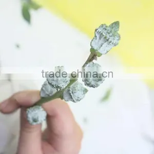 Excellent Quality Eucalyptus Wholesale High Quality Fresh Cut Flowers thumbnail-1
