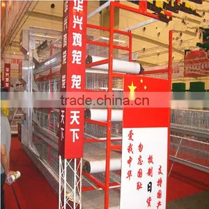 Automatic Chicken Layer Cage for Sale in Philippines thumbnail-5