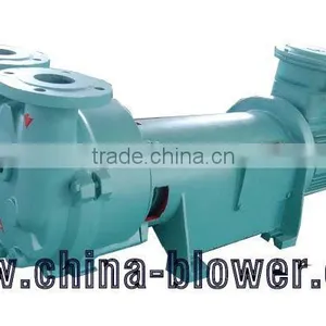 2BV2071 Water Ring Vacuum Pump thumbnail-4