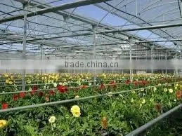 High Quality Ldpe/lldpe/pe Greenhouse Film;greenhouse Plastic Film;clear Plastic Film for Greenhouse thumbnail-2