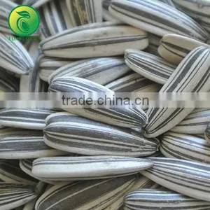 Wholesale Sunflower Seeds in China thumbnail-2