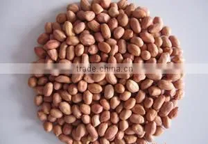 China Dried Peanut Kernel Baisha thumbnail-1