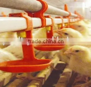 Broiler Ground Raising Equipment Chicken House thumbnail-2