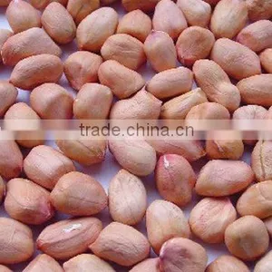 2015 New Crop Best Quality Hot Sale Wholesale Blanched Peanuts Specification thumbnail-2