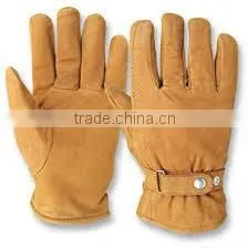 Dressing Gloves thumbnail-1
