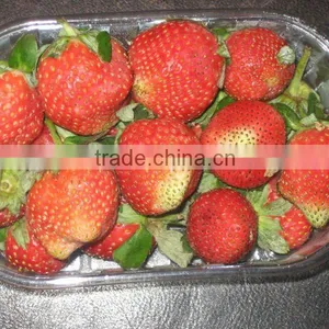 Fresh Strawberry thumbnail-1