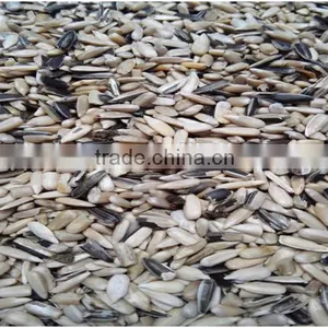 2017 Newest RGB Unhulled Sunflower Seeds Color Sorter Machine thumbnail-2