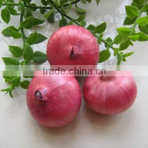 2012 Xihua Fresh Red Onion thumbnail-1