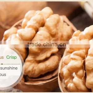 Quality Walnut and Walnut Kernel thumbnail-1