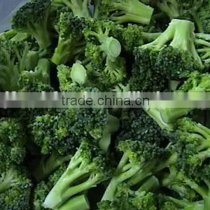 IQF Broccoli thumbnail-6