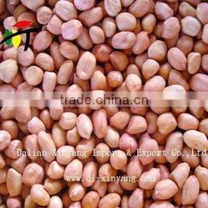 Honey Roasted Peanuts thumbnail-2
