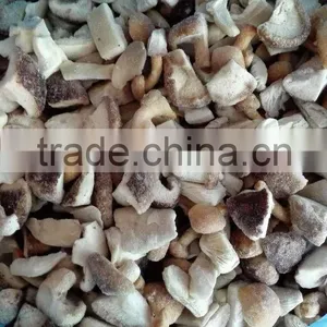 Top Quality China Mushroom With Good Price thumbnail-6