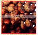 ALLANBLACKIA FLORIBUNDA thumbnail-1