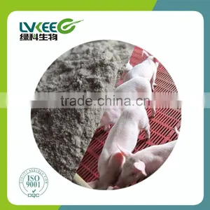 Lvkee Bio Powder 100BL Bacillus Licheniformis for Animal Feed and Aquaculture thumbnail-3