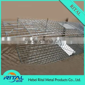 Galvanized Raccoon Cage Traps for Raccoon Trapping thumbnail-3