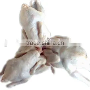 Chicken Bird Defeathering Rubber Finger Quail Plucker thumbnail-6