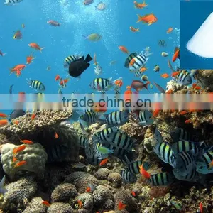 Aquaculture Sea Salt For Breeding Marine Organism thumbnail-1