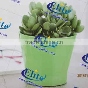 Interior Decorative Pots thumbnail-3
