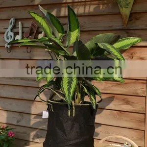 Promotional Non Woven Reusable Grow Bags thumbnail-1