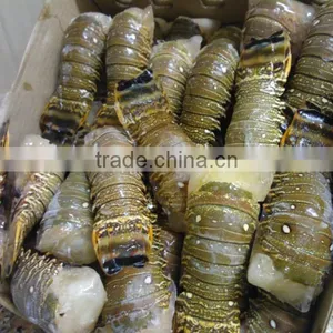 Lobster Tails thumbnail-3