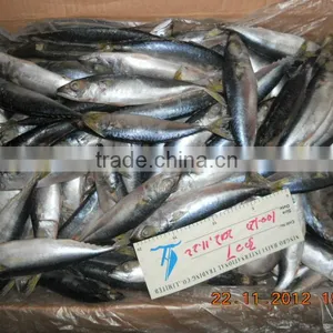 Frozen Mackerel Loading Nov 25th thumbnail-1