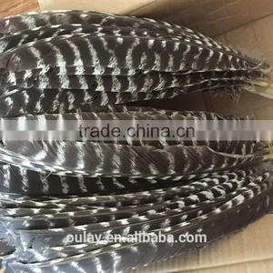 Full Size Colorful Treated Turkey Feathers Striped Feathers thumbnail-2