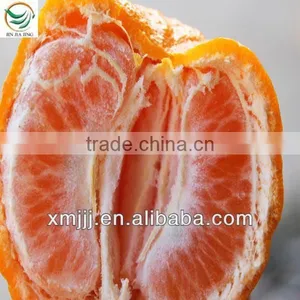 Orange Buyers thumbnail-3