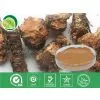 Rhodiola Rosea Root Extract thumbnail-1
