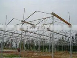 Venlo Greenhouse thumbnail-1