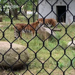 Tiger Fencing