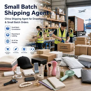 China Shipping Agent for Small Batch Orders and Online Sellers thumbnail-1