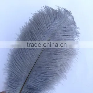 New Style Natural 10-12 Inch Ostrich Plumes for Party Decorations thumbnail-4