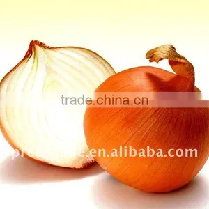 China Fresh Red Onion in Mesh Bag thumbnail-1