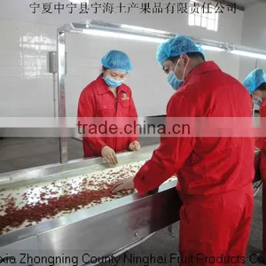 ORGANIC NINGXIA GOJI BERRY 220 thumbnail-2